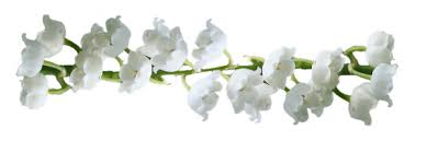 téléchargement (1)